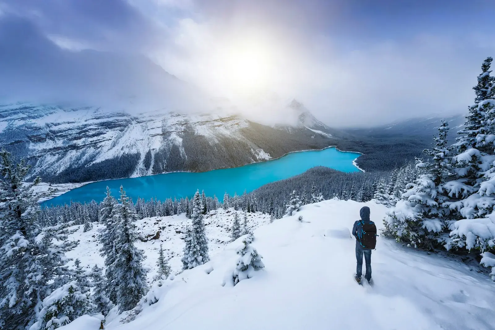 Canada, Alberta, Banff National Park, Peyto Lake, man enjoying view